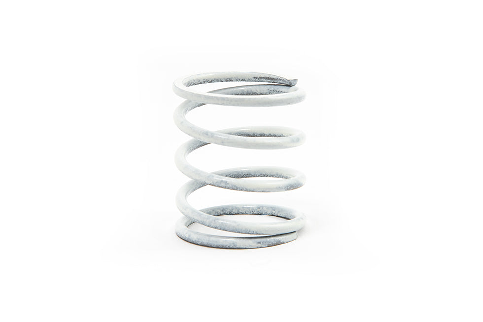 Dump Valve Spring (Single)